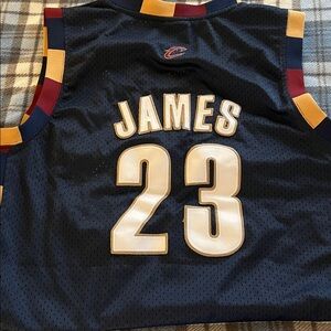 Adidas James Cleveland Jersey